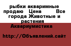 рыбки акваримные продаю › Цена ­ 30 - Все города Животные и растения » Аквариумистика   